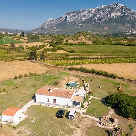 Holiday home S'ena E Su Juncu Loculi